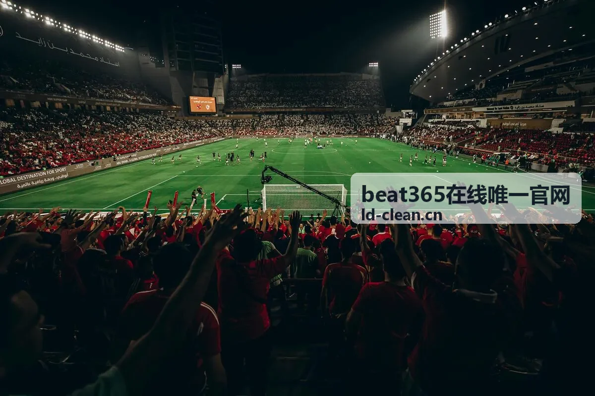 beat365在线唯一官网在线服务视觉展示